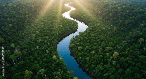 Vista Aérea de Rio Sinuoso Cortando Floresta Tropical
