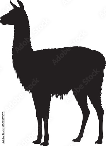 Llama Side View Silhouette Vector