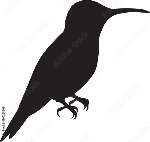 Lucifer Hummingbird Side View Silhouette Vector