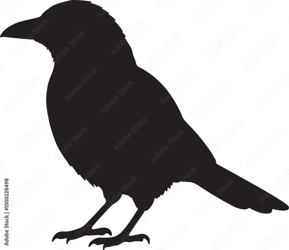 Obraz premium Magpie Side View Silhouette Vector