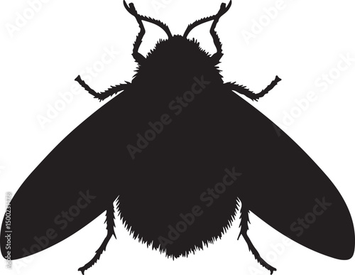MOTH FLY SILHOUETTE TOP VIEW