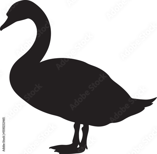 MUTE SWAN SILHOUETTE