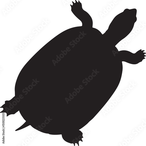 Painted Turtle Top View Silhouette Vector