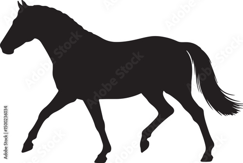 Paso Fino Horse Side View Silhouette Vector