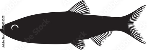 Pearl Danio Side View Silhouette Vector