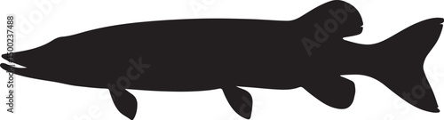 Pike Fish Side View Silhouette Vector