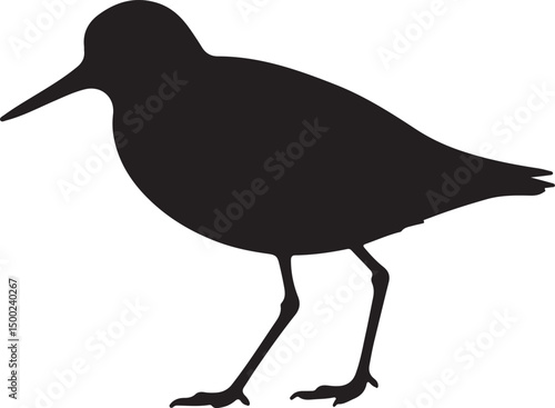 Red-necked Phalarope Silhouette Vector