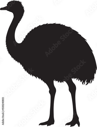 Rhea Silhouette Vector