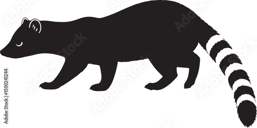 Ringtail Side View Silhouette Vector