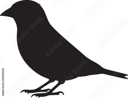 Tableau sur toile Siskin Silhouette Vector
