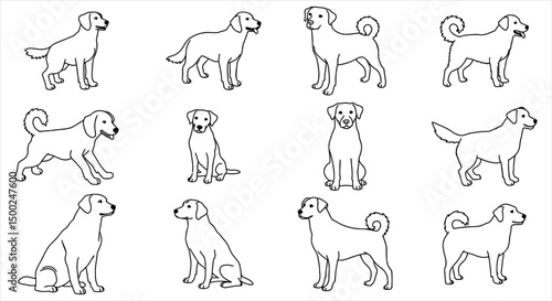 Dog Breeds Outline Set - Various Poses and Silhouettes, Canine Vector Illustration Collection