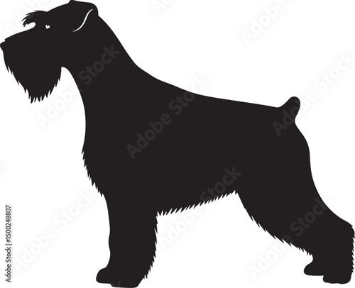 Standard Schnauzer Silhouette Vector