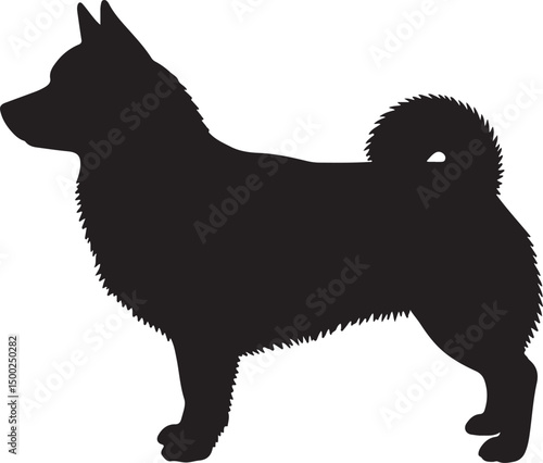 Swedish Vallhund Silhouette