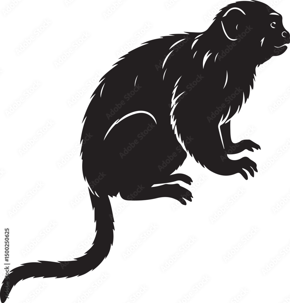 Obraz premium Tamarin Silhouette