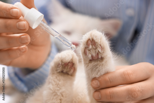 Woman applying oil onto cat...