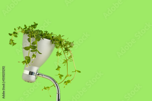 Desk lamp with leaves on gr...