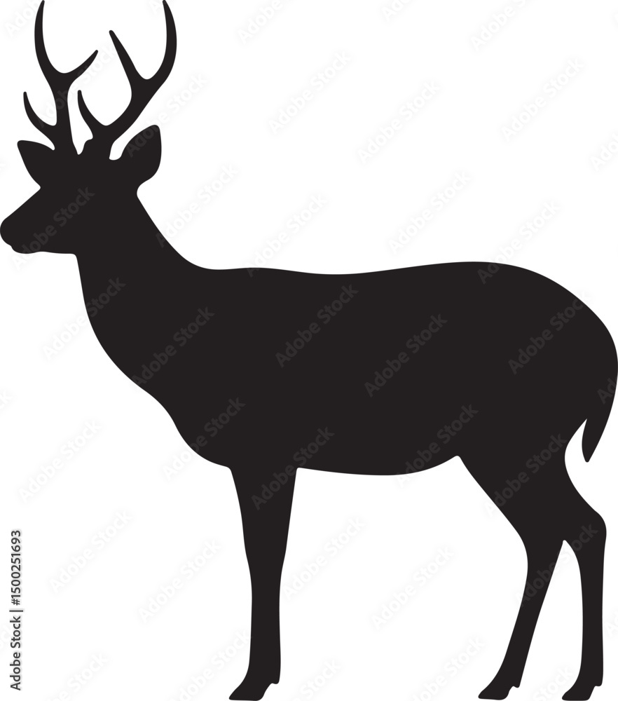 Fototapeta premium Timor Deer Silhouette