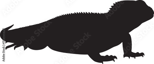 Uromastyx Silhouette