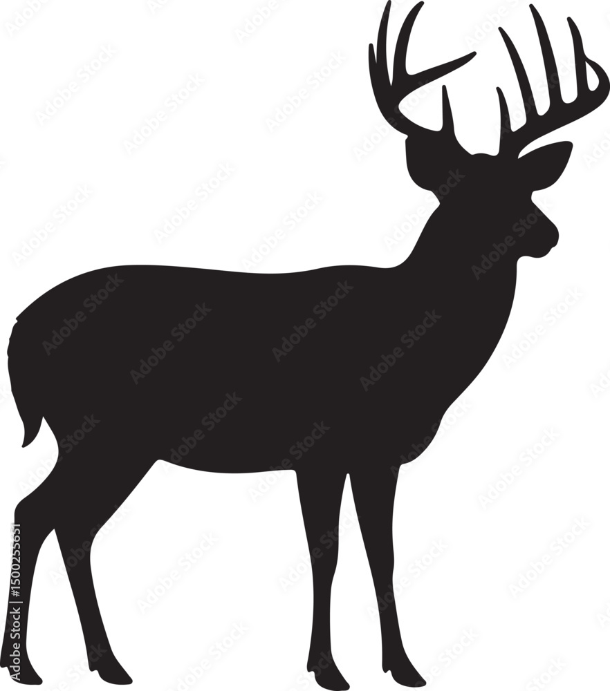 Fototapeta premium White-tailed Deer Silhouette