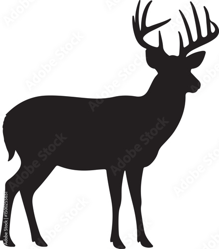 White-tailed Deer Silhouette