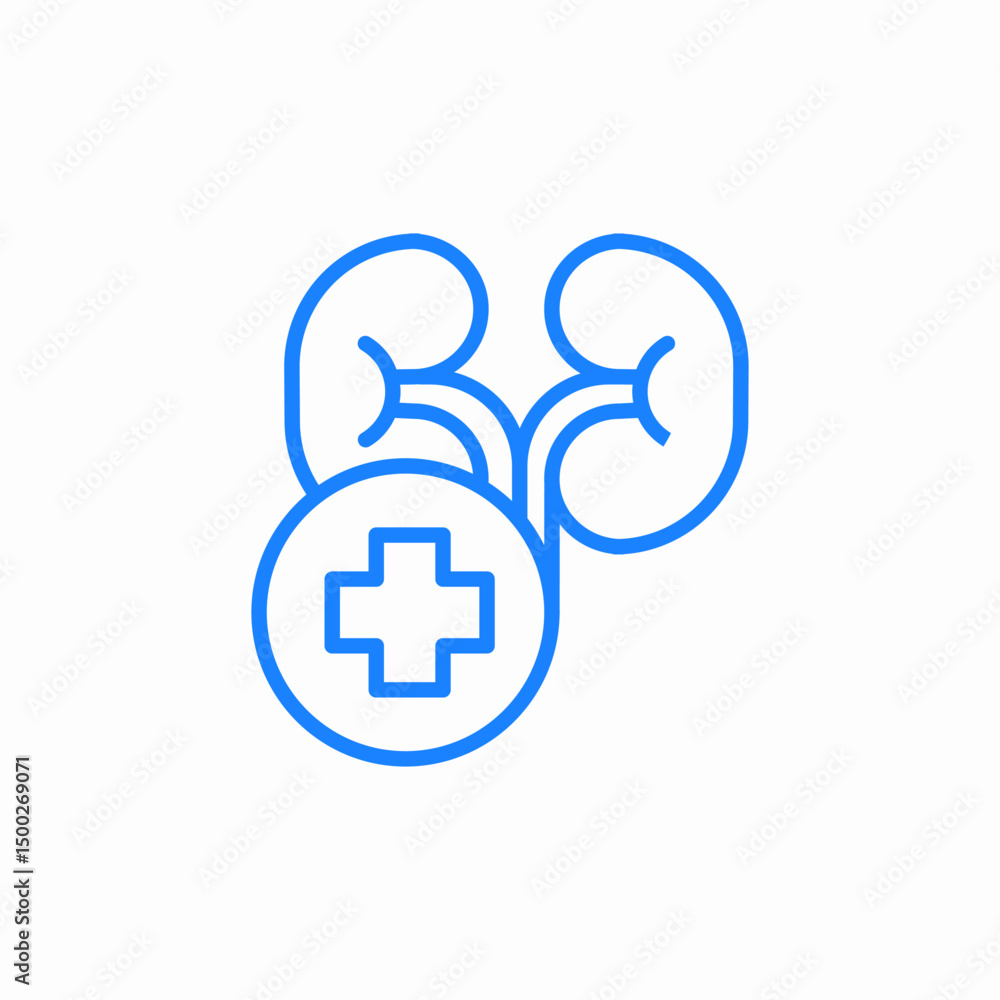 Obraz premium plus kidneys icon sign vector