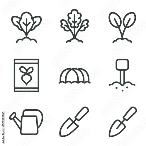 Cool-Season Veggie Icons. Outline icon set of cool-season vegetable planting: lettuce seedling, kale plant, spinach sprout, radish