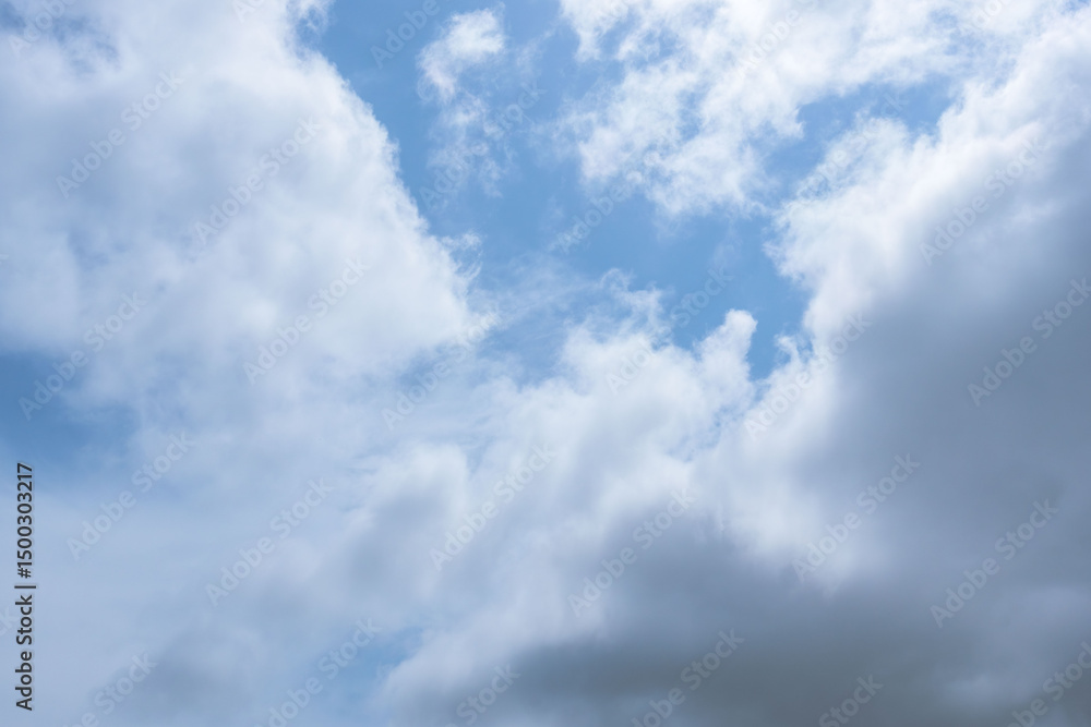 Fototapeta premium 5月の山から見た青空と雲42