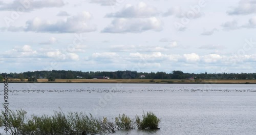 Lake In Country Side