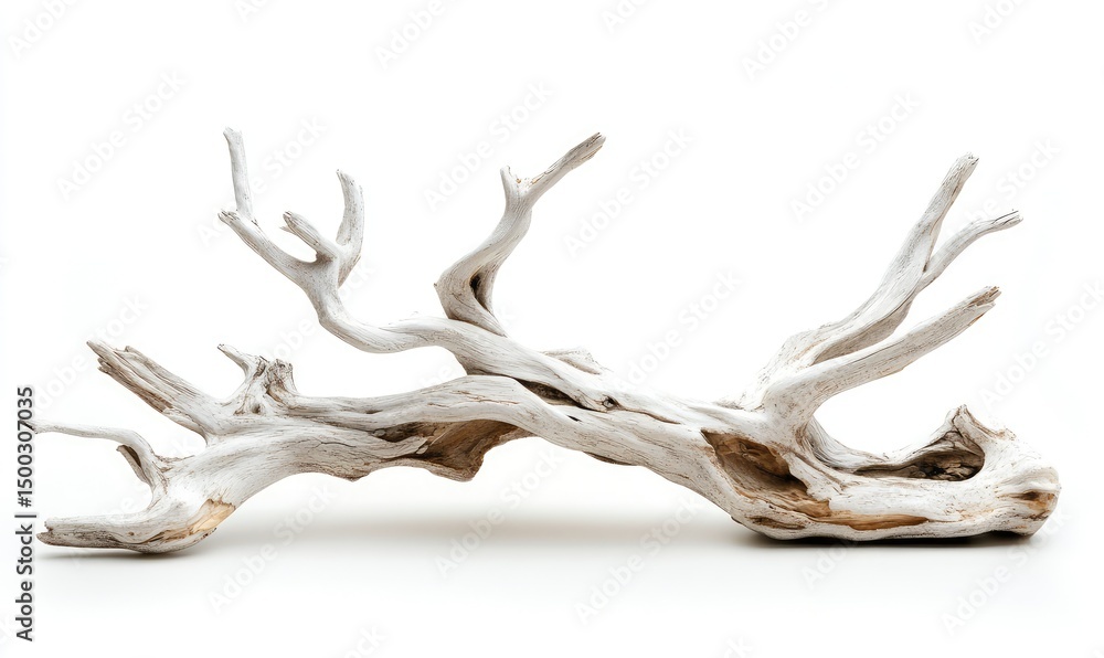 Fototapeta premium Old white dead tree branch isolated on white background. AI generated illustration.