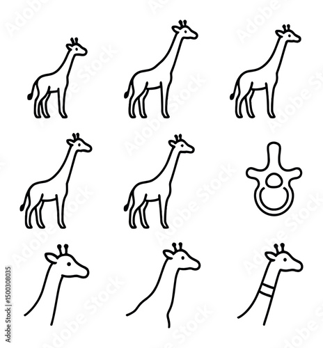 Giraffe Neck Growth Icons. Outline icon set of giraffe neck growth stages: newborn calf, juvenile stretch, subadult length, adult