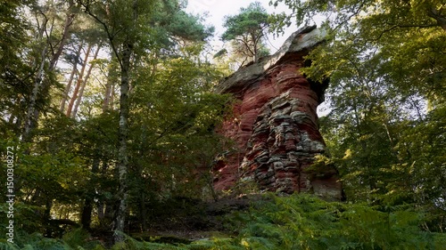 Ein markanter, freistehender Buntsandsteinfelsen erhebt sich zwischen dichtem Laub- und Nadelwald im Pfälzerwald.