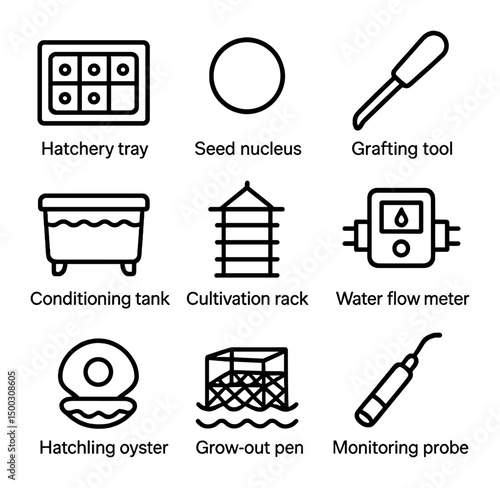 Pearl Cultivation Icons. Outline icon set of pearl cultivation process: hatchery tray, seed nucleus, grafting tool, conditioning