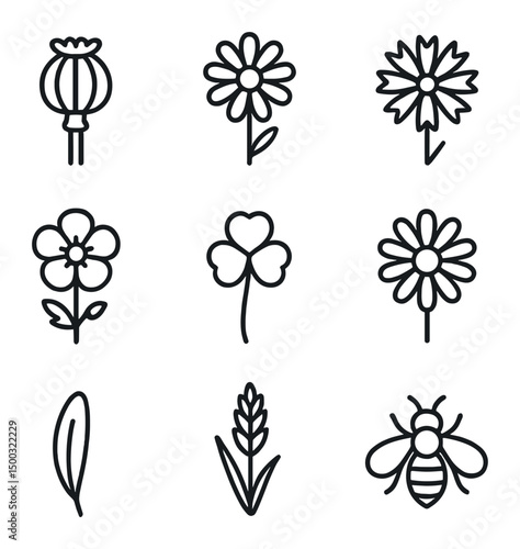 Wildflower Icon Set. Outline icon set of wildflower meadow blooms: poppy head, daisy bloom, cornflower, buttercup, clover cluster,
