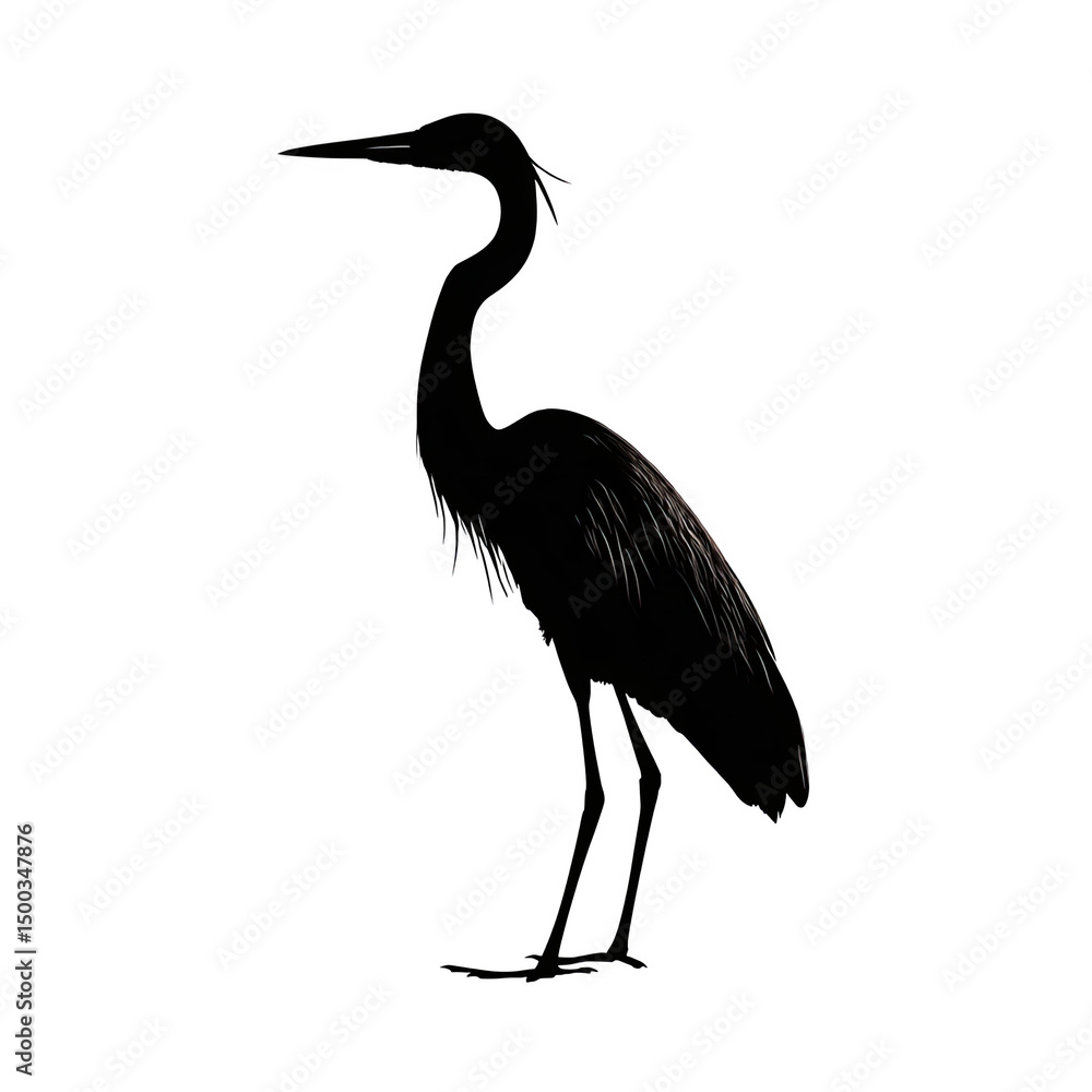 Obraz premium A shadowy figure of a bird standing in the dark with a long neck and a pointed beak visible here
