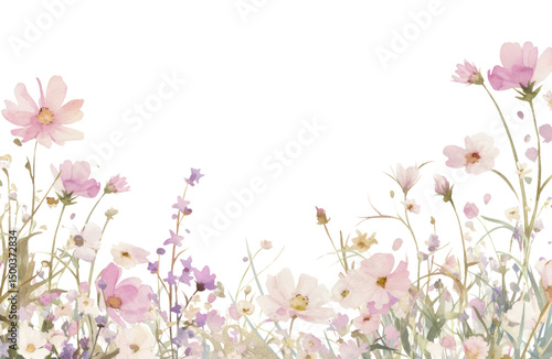 Fototapeta Naklejka Na Ścianę i Meble -  PNG Wild flowers border art illustration watercolor.