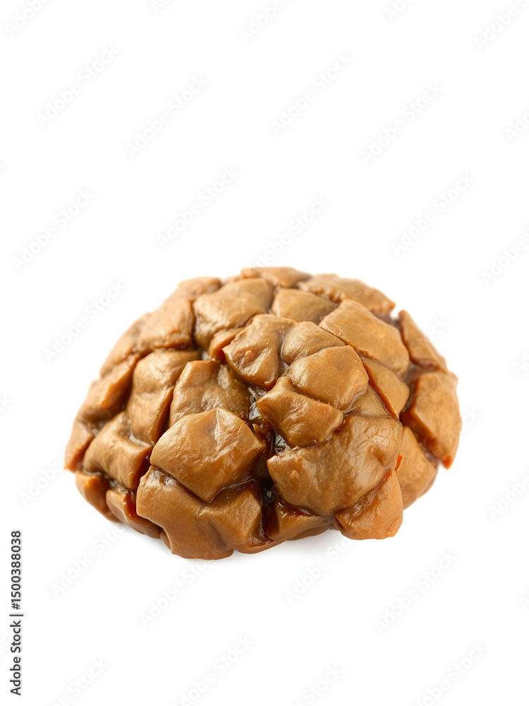 Fototapeta premium Dried piece of soy meat. Isolated object