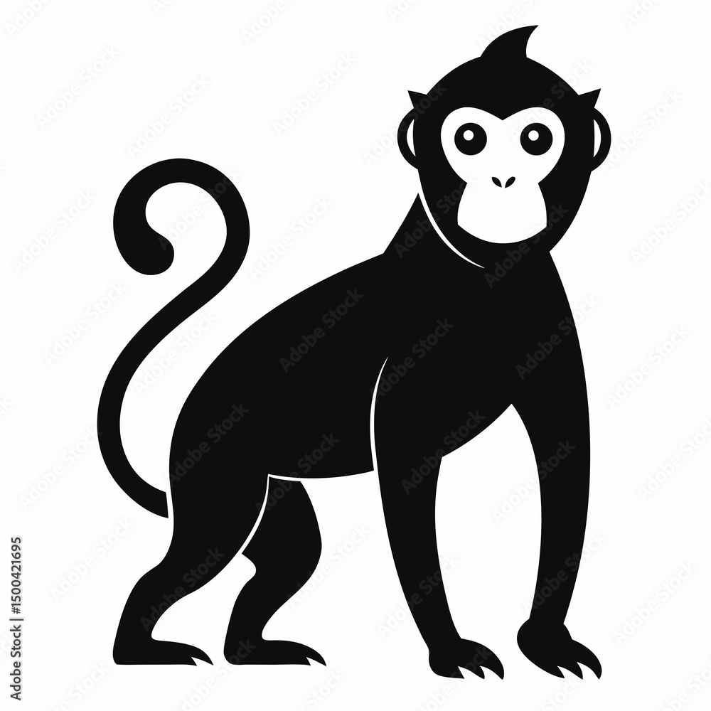 Fototapeta premium monkey on white background