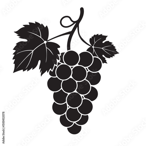 Grape silhouette vector image