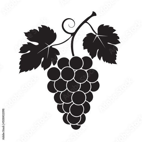 Grape silhouette vector image