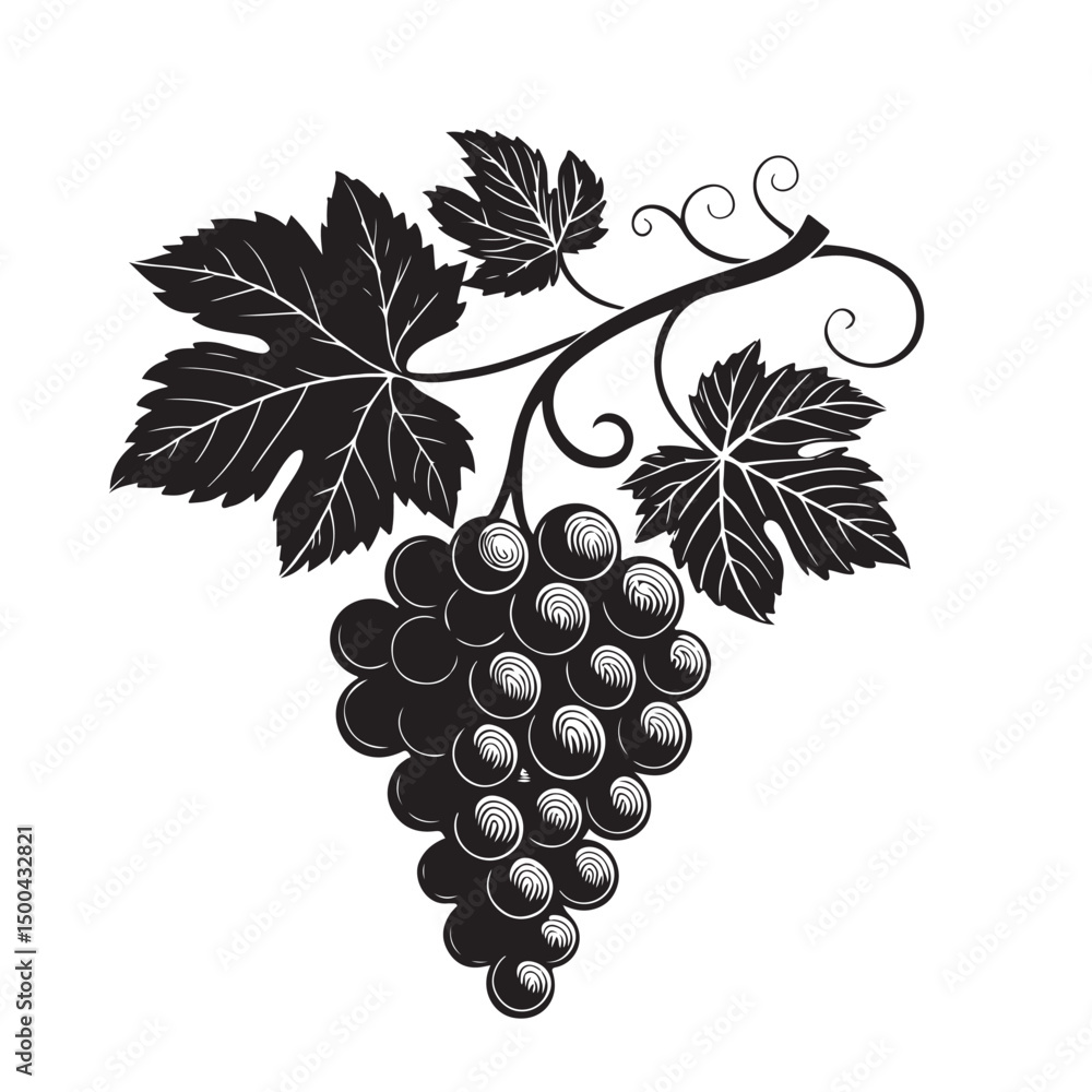 Fototapeta premium Grape silhouette vector image