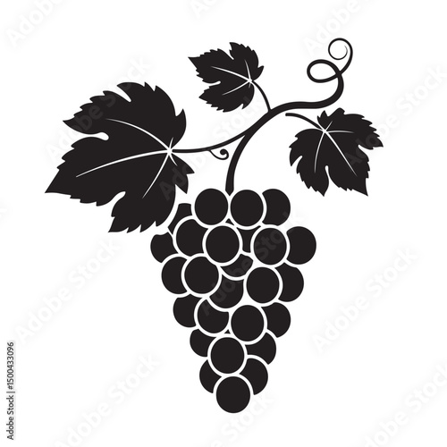 Grape silhouette vector image