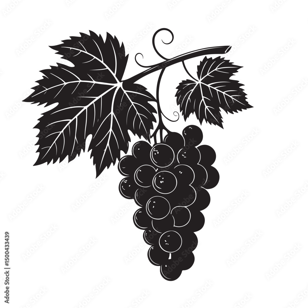 Obraz premium Grape silhouette vector image