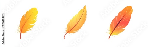 Three vibrant, gradient-colored feathers against a white background