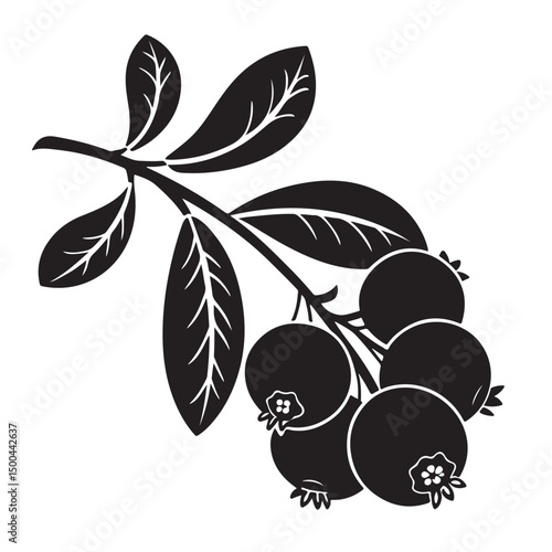 Cranberry vector shilhutte image