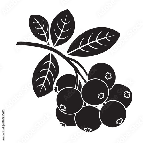 Cranberry silhouette vector image