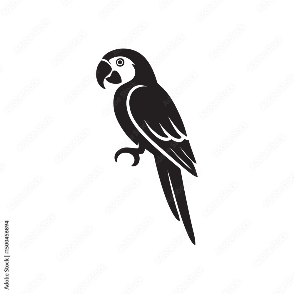 Fototapeta premium silhouette of macaw bird