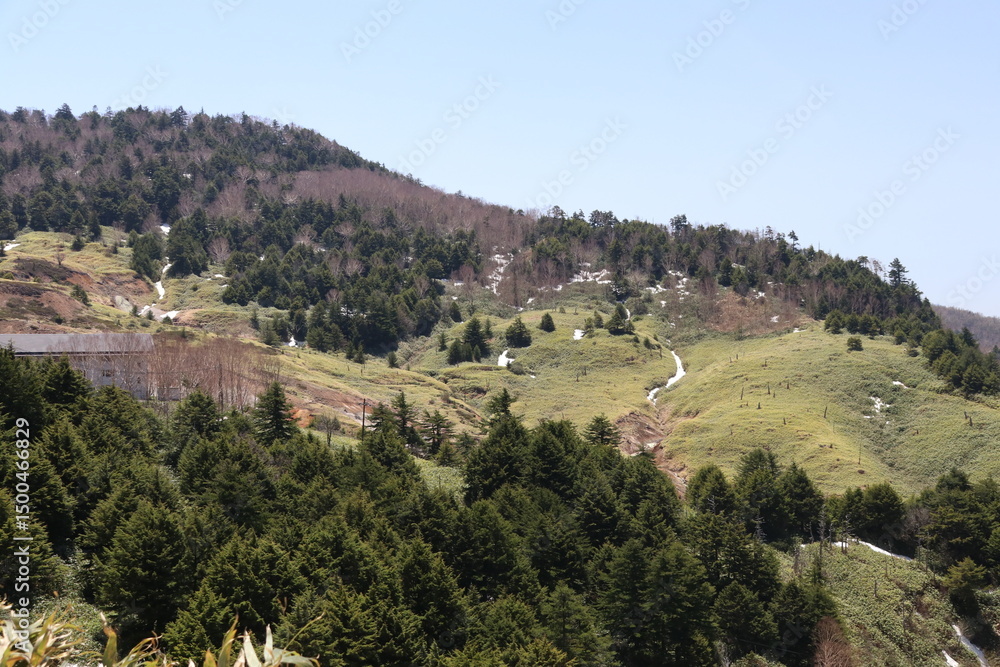 Obraz premium 高原を走る志賀草津道路（国道292号）からの風景。
