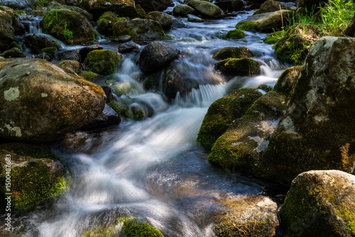 flowing stream in the mountain valley