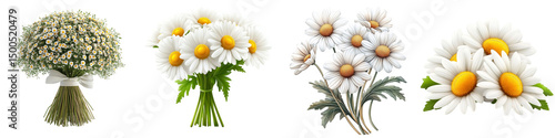 Fresh Chamomile Bouquet with Green Stems and Leaves for Natural Decor Display