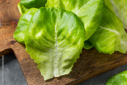 Schilderij op canvas Raw Green Organic Butterhead Lettuce